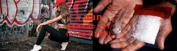 амф Верхний Тагил