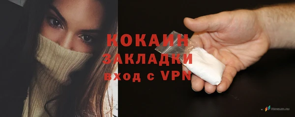 амф Верхний Тагил