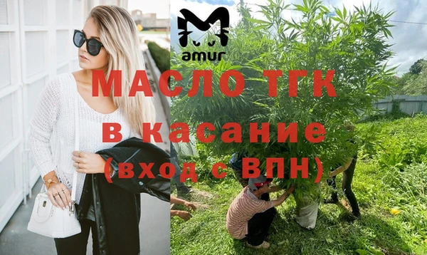 амф Верхний Тагил