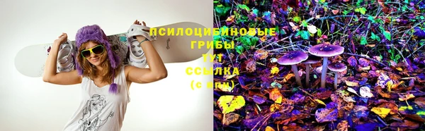 амф Верхний Тагил