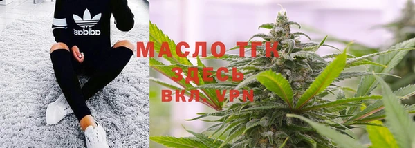 амф Верхний Тагил