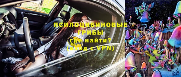 амф Верхний Тагил