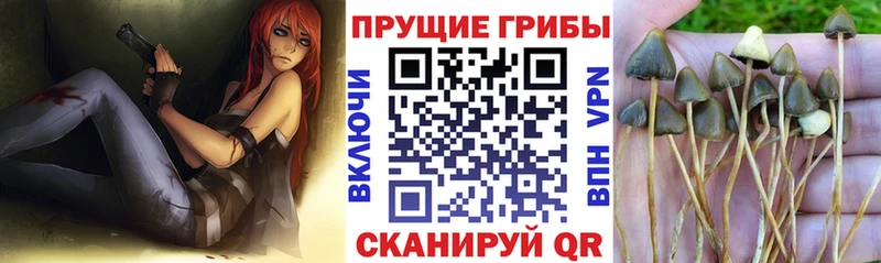 Галлюциногенные грибы Magic Shrooms  Купить  Боготол 